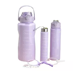 Набір пляшок для води з мотивуючими написами 300/700/2000 мл, фіолетовий